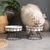 ZENITHMIND Bol Slow Food pour chat en céramique
