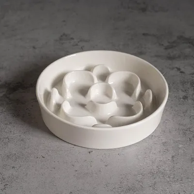 ZENITHMIND Bol Slow Food pour chat en céramique