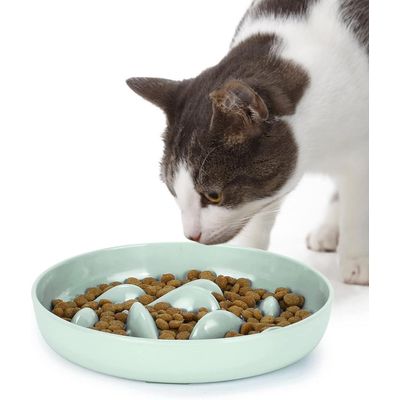 ZENITHMIND Gamelle à Alimentation Lente pour Chats et Petits Chiens