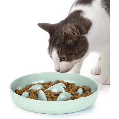 ZENITHMIND Gamelle à Alimentation Lente pour Chats et Petits Chiens