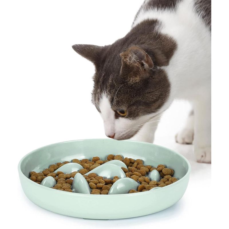 ZENITHMIND Gamelle à Alimentation Lente pour Chats et Petits Chiens