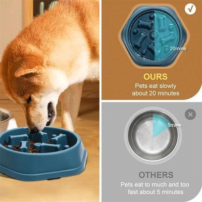 ZENITHMIND Bol Slow Food pour chien (bleu)