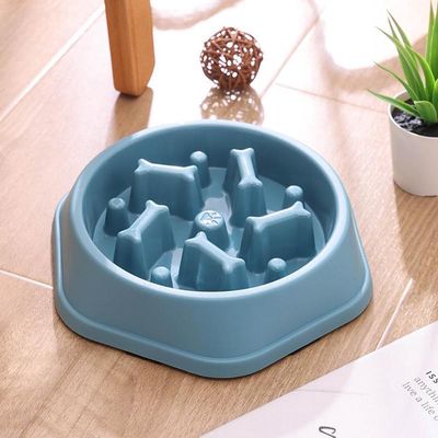 ZENITHMIND Bol Slow Food pour chien (bleu)