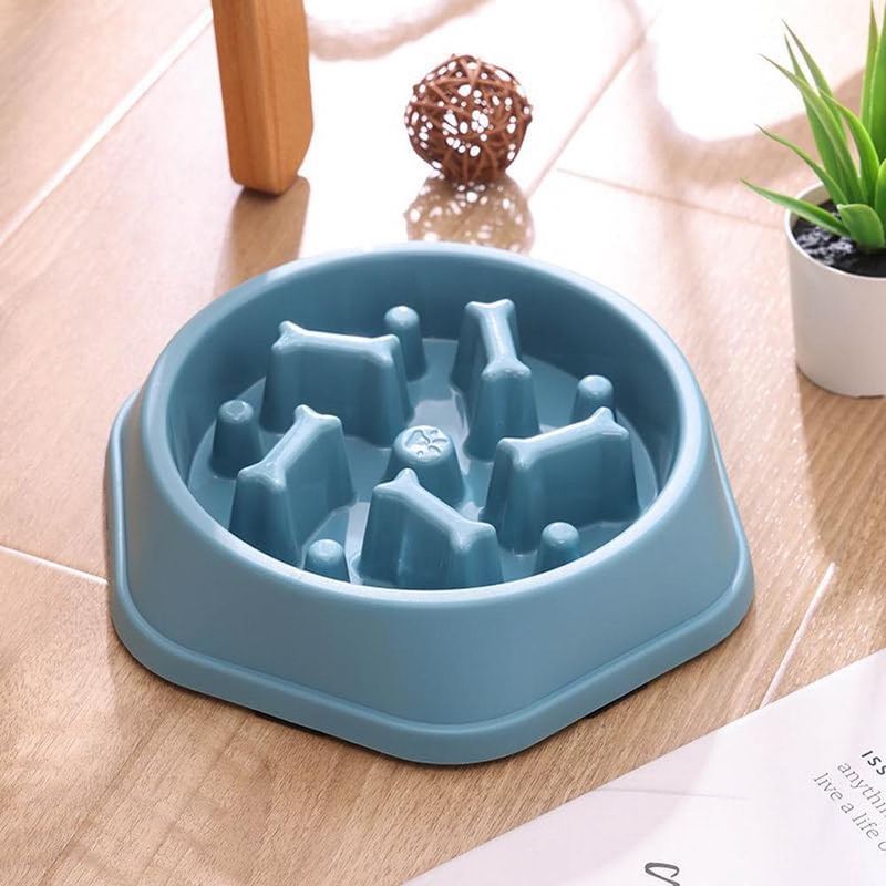 ZENITHMIND Bol Slow Food pour chien (bleu)