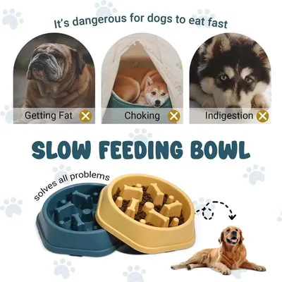 ZENITHMIND Bol Slow Food pour chien (bleu)