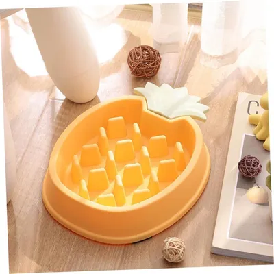 ZENITHMIND Bol Slow Food pour chien, jaune