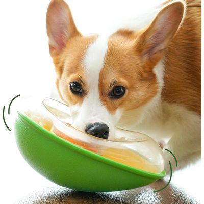 ZENITHMIND Mangeoire pour animaux de compagnie