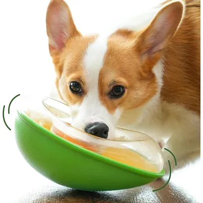 ZENITHMIND Mangeoire pour animaux de compagnie