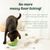ZENITHMIND Mangeoire pour animaux de compagnie