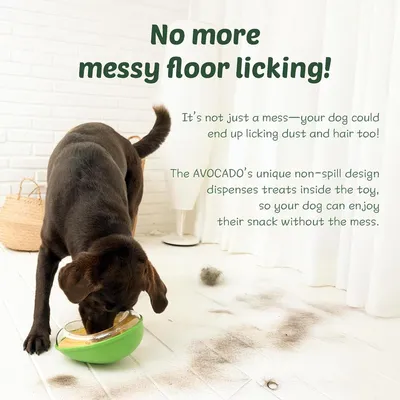 ZENITHMIND Mangeoire pour animaux de compagnie