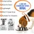 ZENITHMIND 2 bols d'alimentation pour chien en acier inoxydable,bouilloire