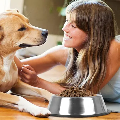 ZENITHMIND 2 bols d'alimentation pour chien en acier inoxydable,bouilloire