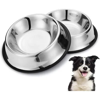ZENITHMIND 2 bols d'alimentation pour chien en acier inoxydable,bouilloire ZENITHMIND 2 bols d'alimentation pour chien en acier inoxydable,bouilloire