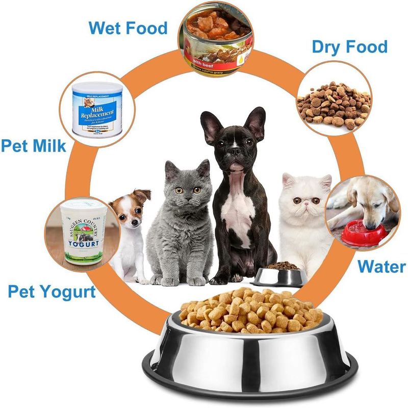ZENITHMIND 2 bols d'alimentation pour chien en acier inoxydable,bouilloire