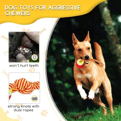 ZENITHMIND Hundespielzeugseil aus 100% Baumwolle 2PCS