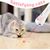 LovuPet Jouet interactif 3 en 1 pour chats et chiens avec mousqueton blanc