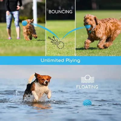 ZENITHMIND Boule pour chien,jouet à mâcher interactif silencieux,Ø 5,5 cm