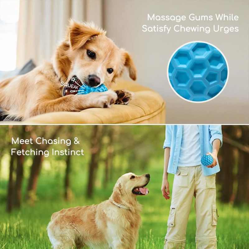 ZENITHMIND Boule pour chien,jouet à mâcher interactif silencieux,Ø 5,5 cm