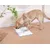 ZENITHMIND Pour aliments pour chats, coussins absorbants 33*55cm