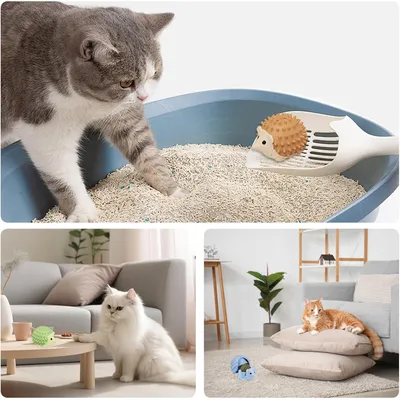 3 Pièces Boule Herbe à Chat à Lécher, Boule Herbe a Chat Murale Boules