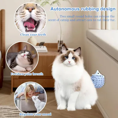 3 Pièces Boule Herbe à Chat à Lécher, Boule Herbe a Chat Murale Boules