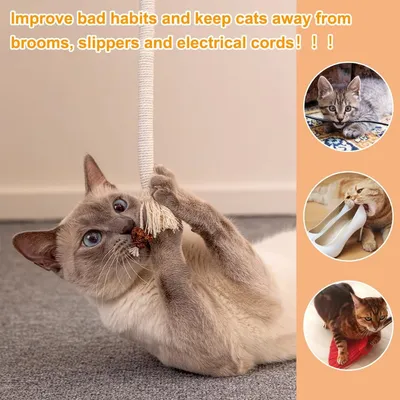 LovuPet 3 Pièces 70cm Corde à Mâcher pour Chat, Bâtonnets Herbe à Chat
