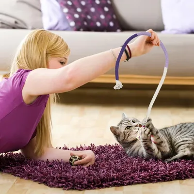 LovuPet 3 Pièces 70cm Corde à Mâcher pour Chat, Bâtonnets Herbe à Chat