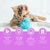 LovuPet Ensemble de jouets pour chats-28 pcs-Jouets intelligents pour chats