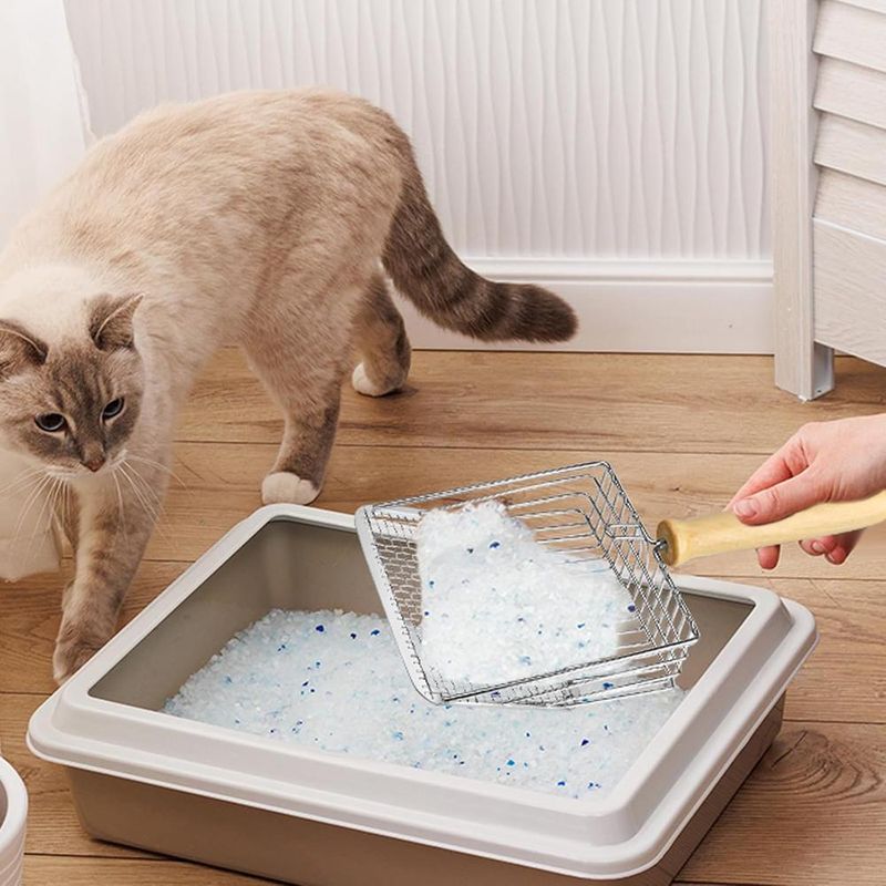 ZENITHMIND Pelle à Llitière pour Chat, Pelle Litiere Chat 26,5*13cm