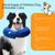 ZENITHMIND Collier gonflable pour chien,collier de protection réglable