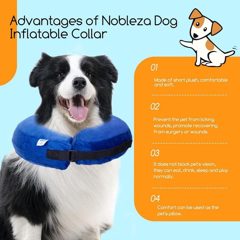ZENITHMIND Collier gonflable pour chien,collier de protection réglable