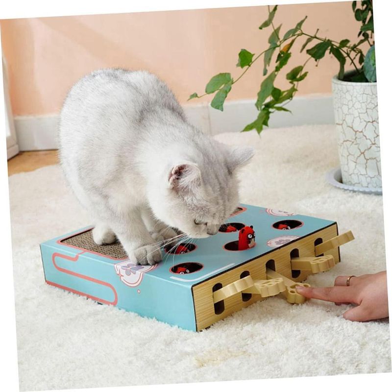 ZENITHMIND Chat avec Planche à Gratter de Chasse pour Chat Jeu