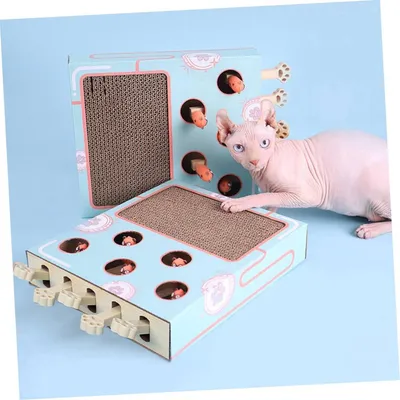 ZENITHMIND Chat avec Planche à Gratter de Chasse pour Chat Jeu