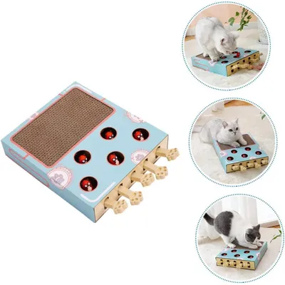 ZENITHMIND Chat avec Planche à Gratter de Chasse pour Chat Jeu