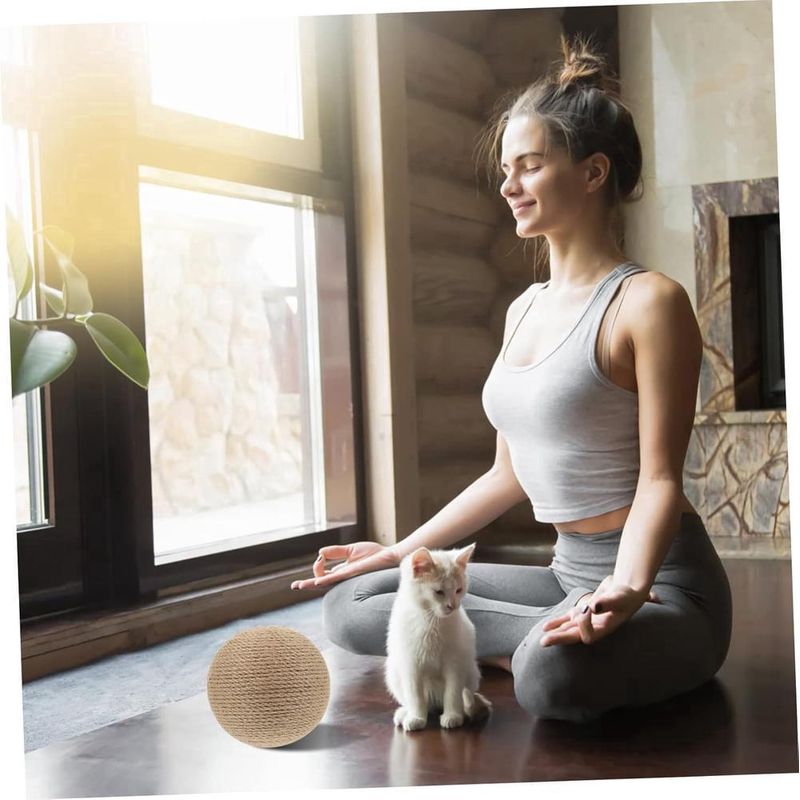ZENITHMIND Jouet Grattant Forme De Boule Pour Chat Accessoire