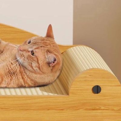 ZENITHMIND Lit à griffer pour chat, jouet interactif pour chat