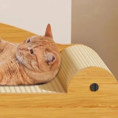 ZENITHMIND Lit à griffer pour chat, jouet interactif pour chat