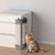 ZENITHMIND Raclette d'angle, raclette pour chat, protection des bords