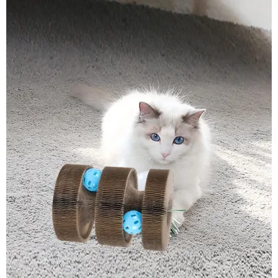 ZENITHMIND griffoir Carton,Jouet interactif Pliant