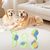 LovuPet 7 Pieces Corde Chien, Rope Training Toys Jouet pour Chien