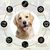 LovuPet 7 Pieces Corde Chien, Rope Training Toys Jouet pour Chien