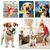 LovuPet 7 Pieces Corde Chien, Rope Training Toys Jouet pour Chien