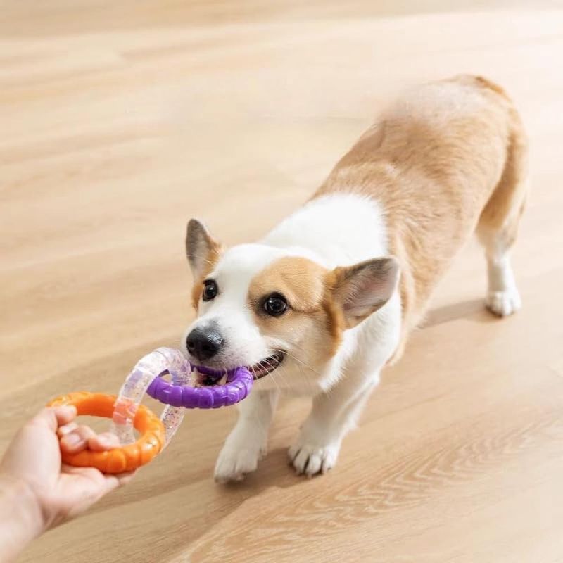 ZENITHMIND Jouets à 3 anneaux pour chiens en plein air