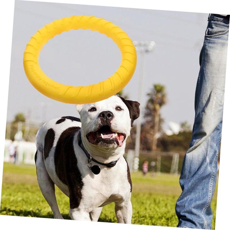 ZENITHMIND Anneau De Jouet Interactif pour Chiens