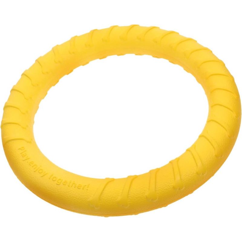 ZENITHMIND Anneau De Jouet Interactif pour Chiens