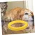ZENITHMIND Anneau De Jouet Interactif pour Chiens