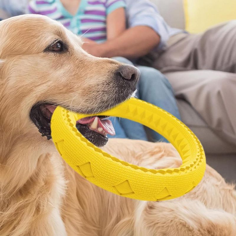 ZENITHMIND Jouets interactifs pour animaux de compagnie