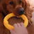 ZENITHMIND Jouets interactifs pour animaux de compagnie