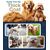Tondeuse Pro Chien/Chat Poil Long - IPX7, Silencieuse, Sans Fil (Or)