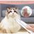 Tondeuse Chien/Chat Silencieuse - Étanche Rechargeable, LED pour Pattes